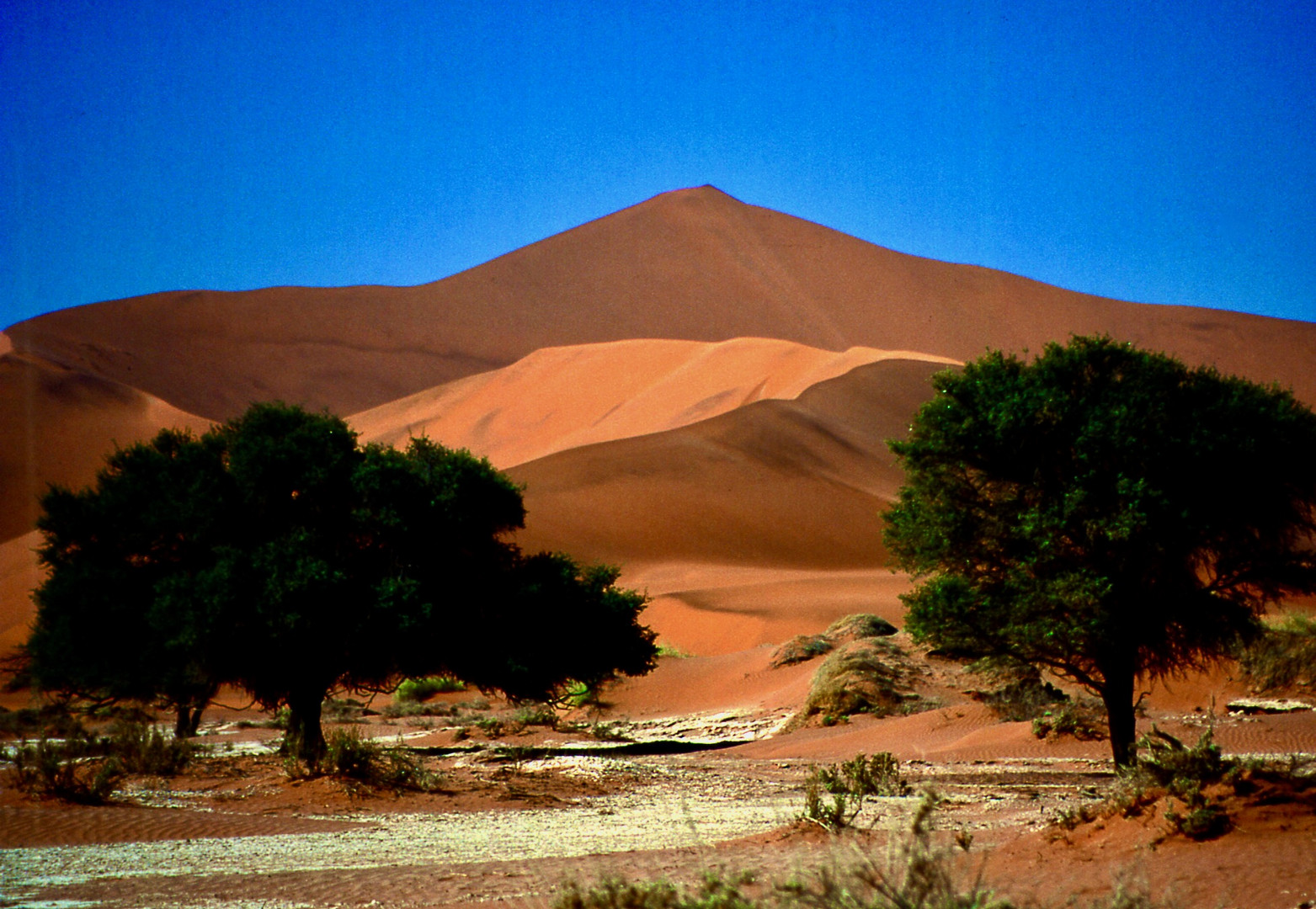 Namibia: Die Dünen von Sossusvlei 2