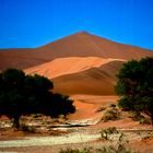 Namibia: Die Dünen von Sossusvlei 2