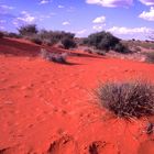 NAMIBIA: Die Kalahari