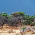 Namibia - Dieser Himmel ist kein blauer!