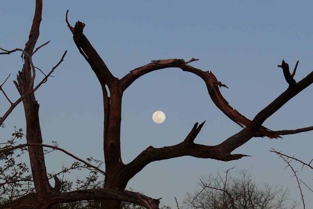 Namibia - Dieser Mond musste mal eingerahmt werden