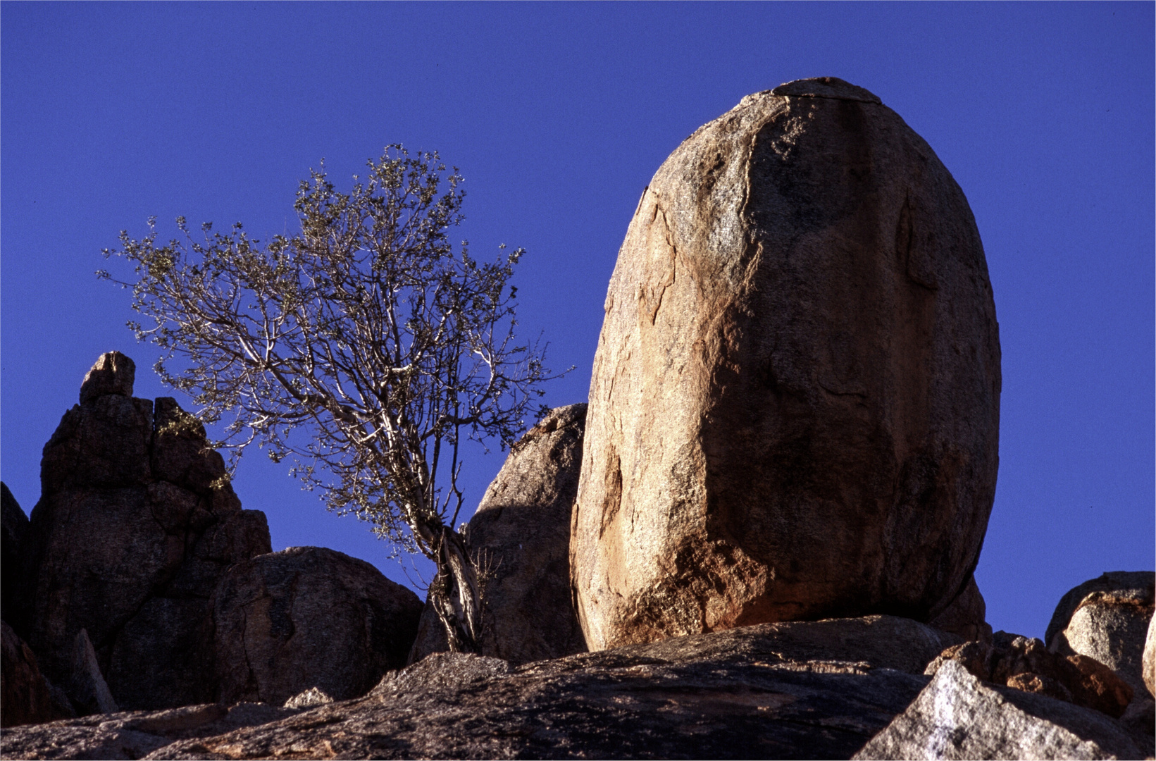 namibia dreaming