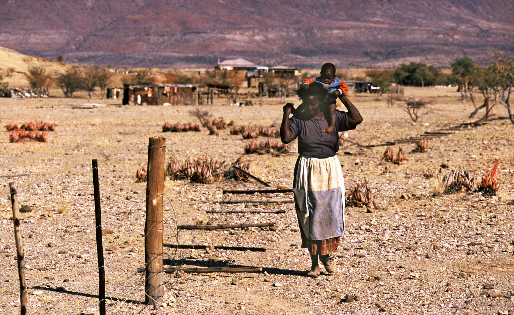 Namibia dreaming