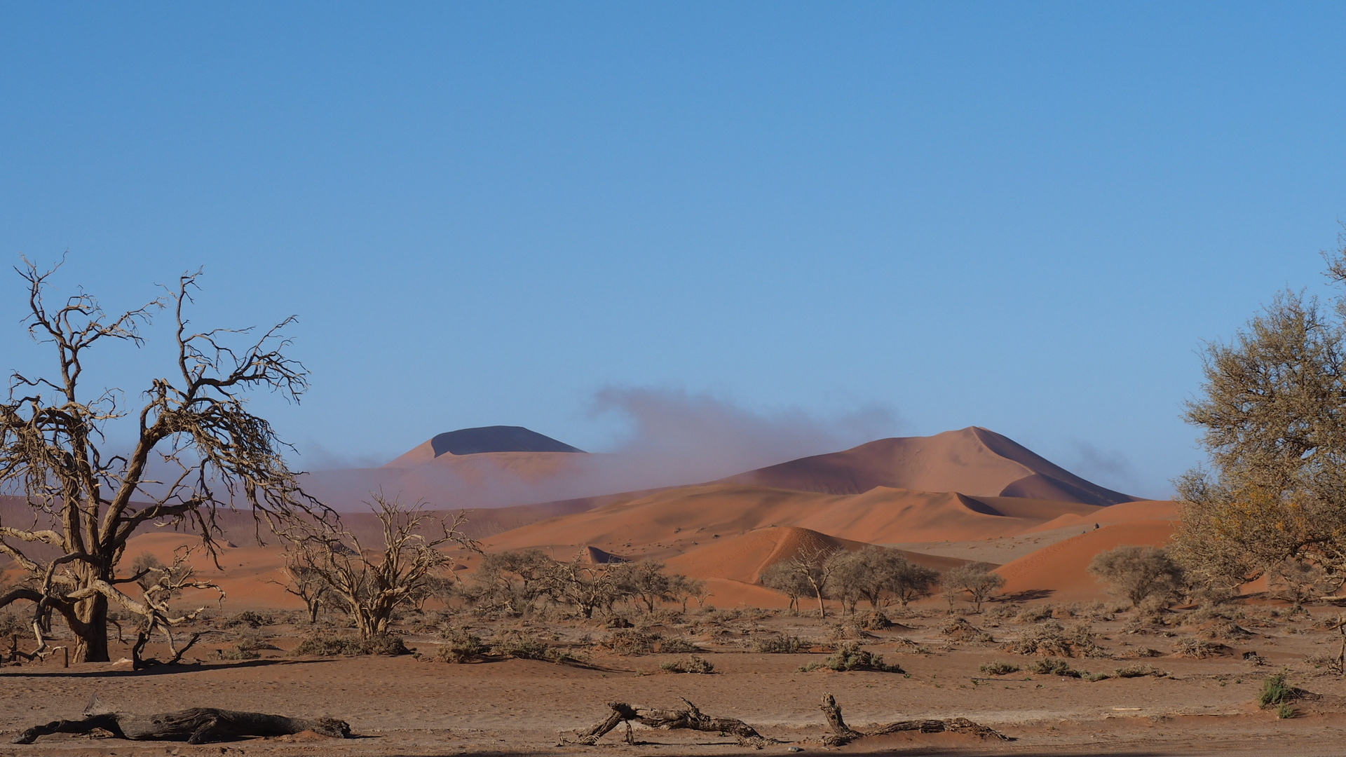 Namibia Dünen der Namib im Nationalpark Sossusvlei