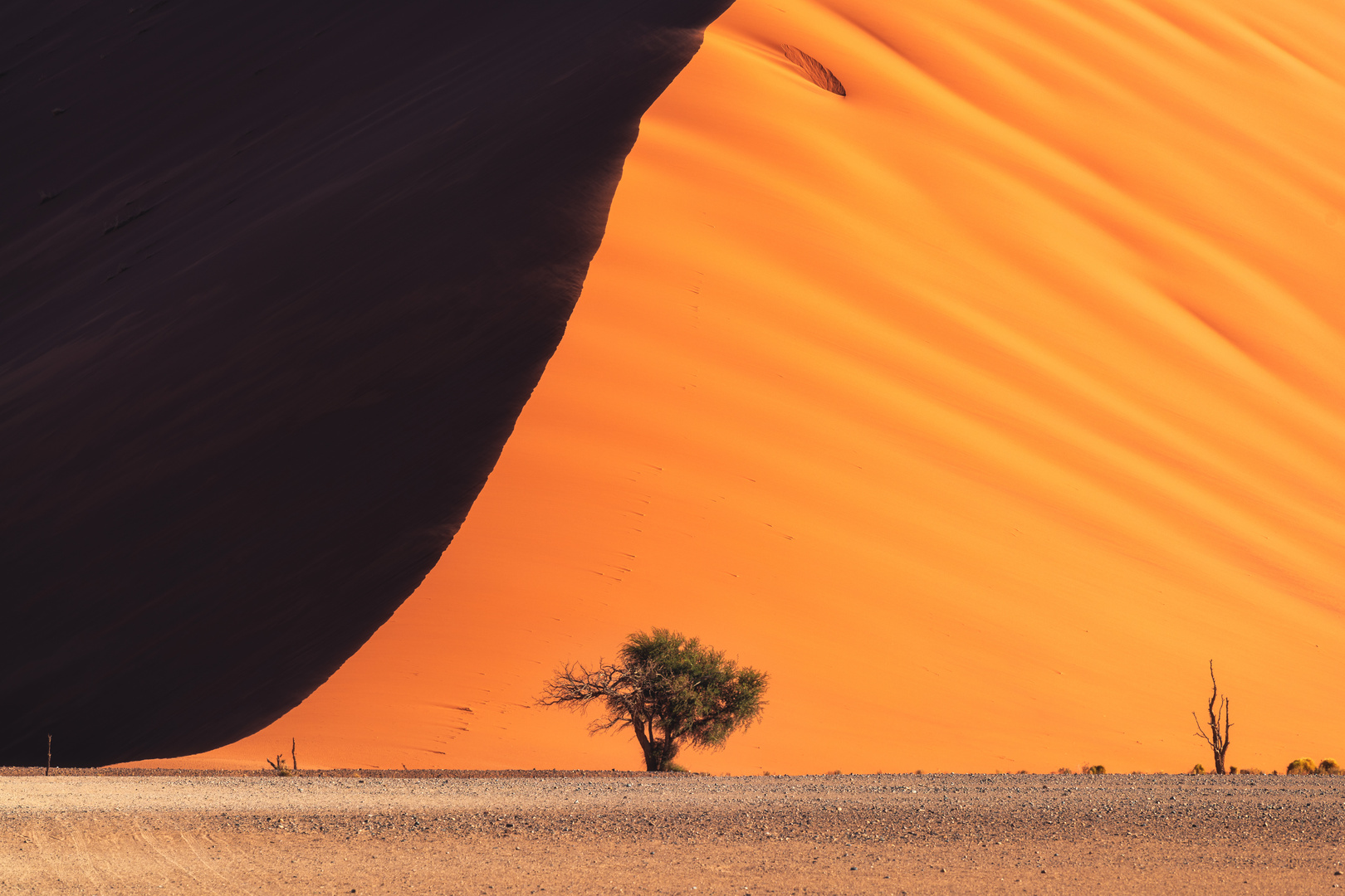 Namibia - Dune 45