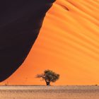 Namibia - Dune 45