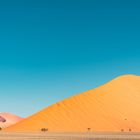 Namibia - Dune 45