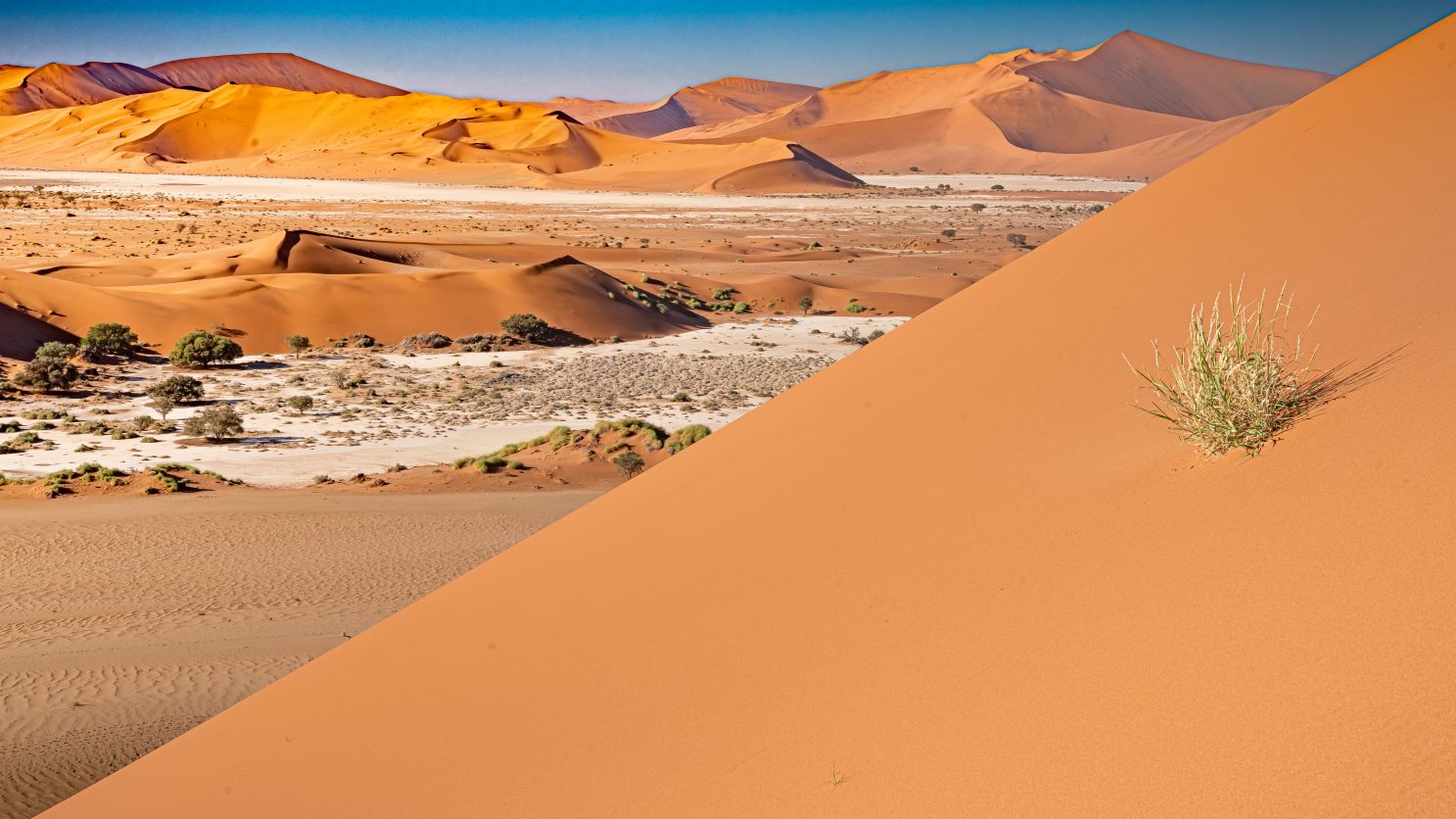 Namibia  - Dune 45