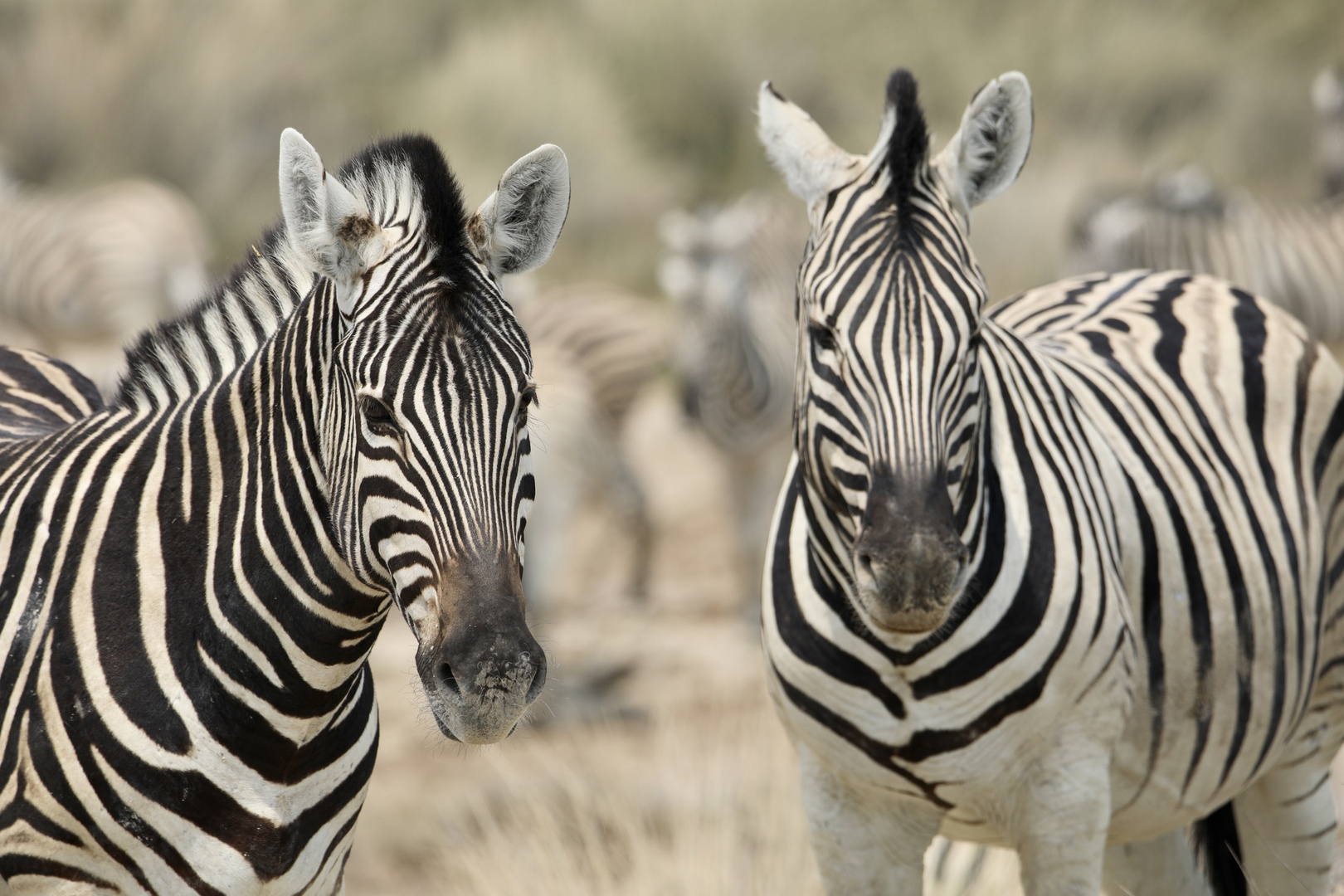 Namibia