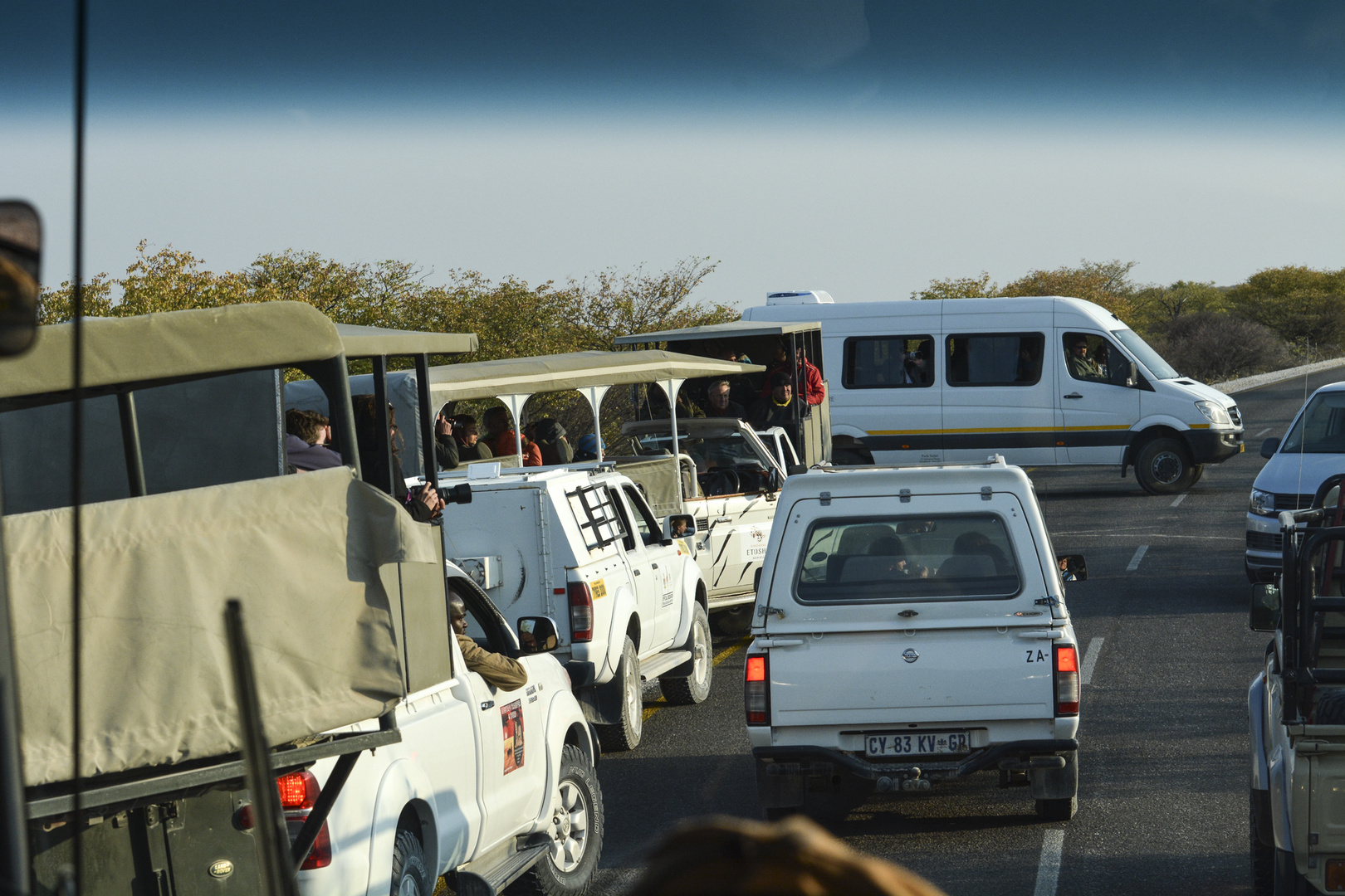 Namibia: ein Löwe, ein Löwe ....