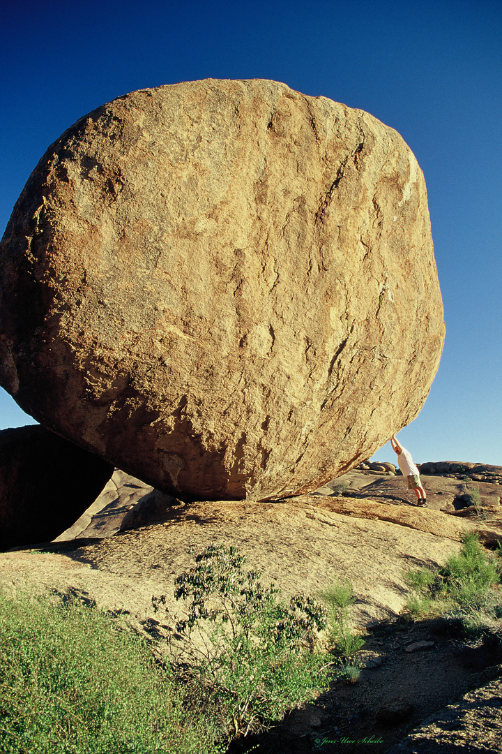 Namibia / Erongo / Ameib / Bull's Party