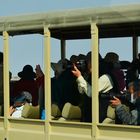 Namibia, Etosha