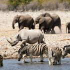 Namibia, Etosha