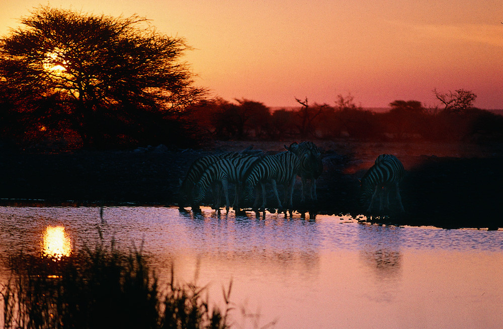NAMIBIA Etosha Namutoniwasserloch
