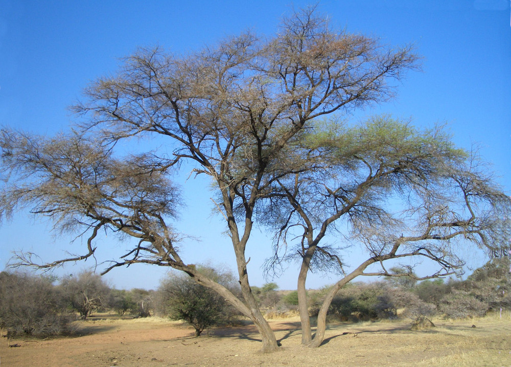 Namibia - Faszination Landschaft / Himmel