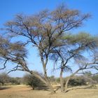 Namibia - Faszination Landschaft / Himmel