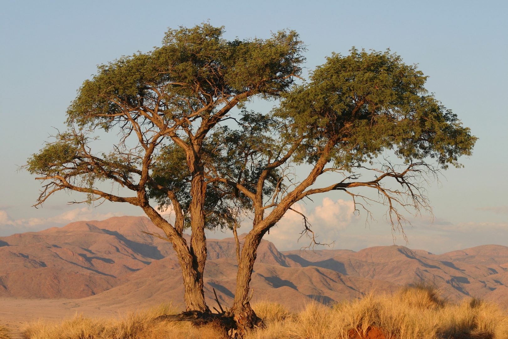 Namibia