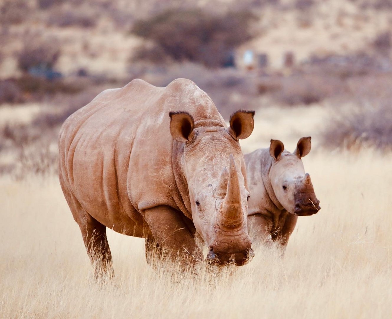 Namibia