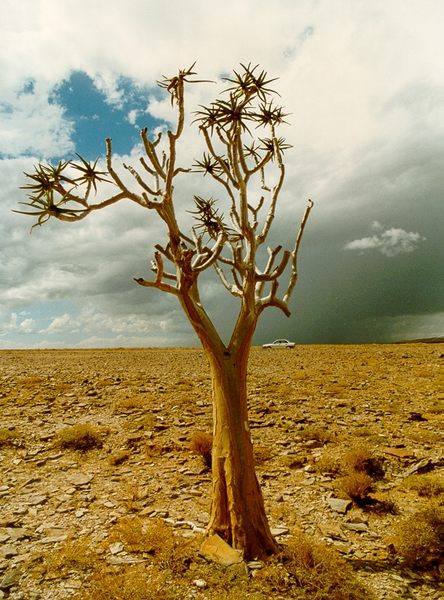 Namibia Fishriver