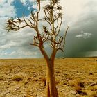 Namibia Fishriver