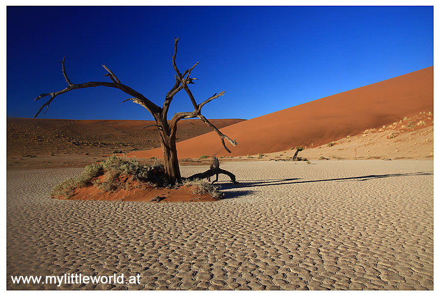 Namibia- Hidden Vlei