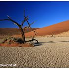 Namibia- Hidden Vlei