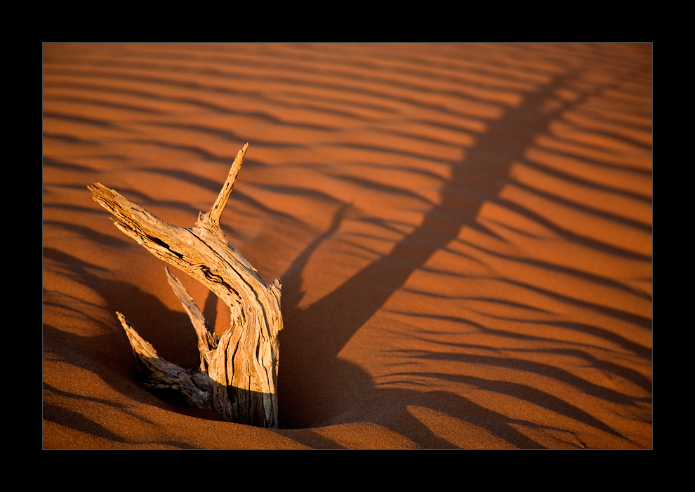 Namibia I - Schattenspiele in der Namib