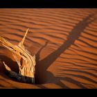 Namibia I - Schattenspiele in der Namib