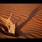 Namibia I - Schattenspiele in der Namib