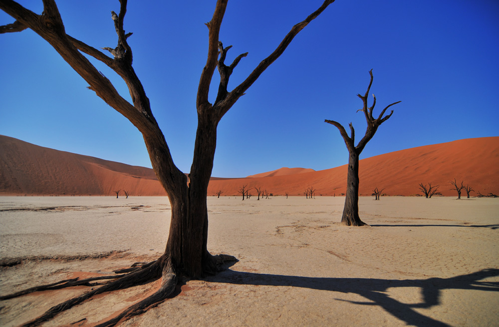 namibia III