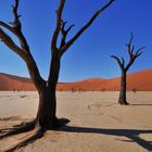 namibia III