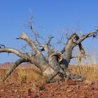 Namibia - Im Damaraland