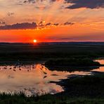 Namibia im Hessischen Ried