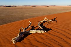 Namibia Impression 16