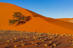 Namibia Impression 17