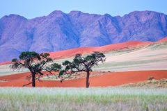 Namibia Impression 40