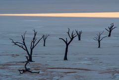 Namibia Impression 42