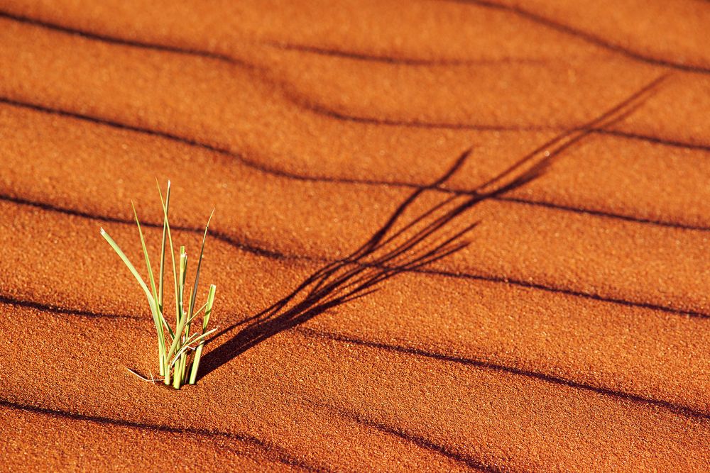 Namibia Impression 49