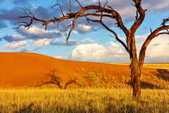 Namibia Impression 58