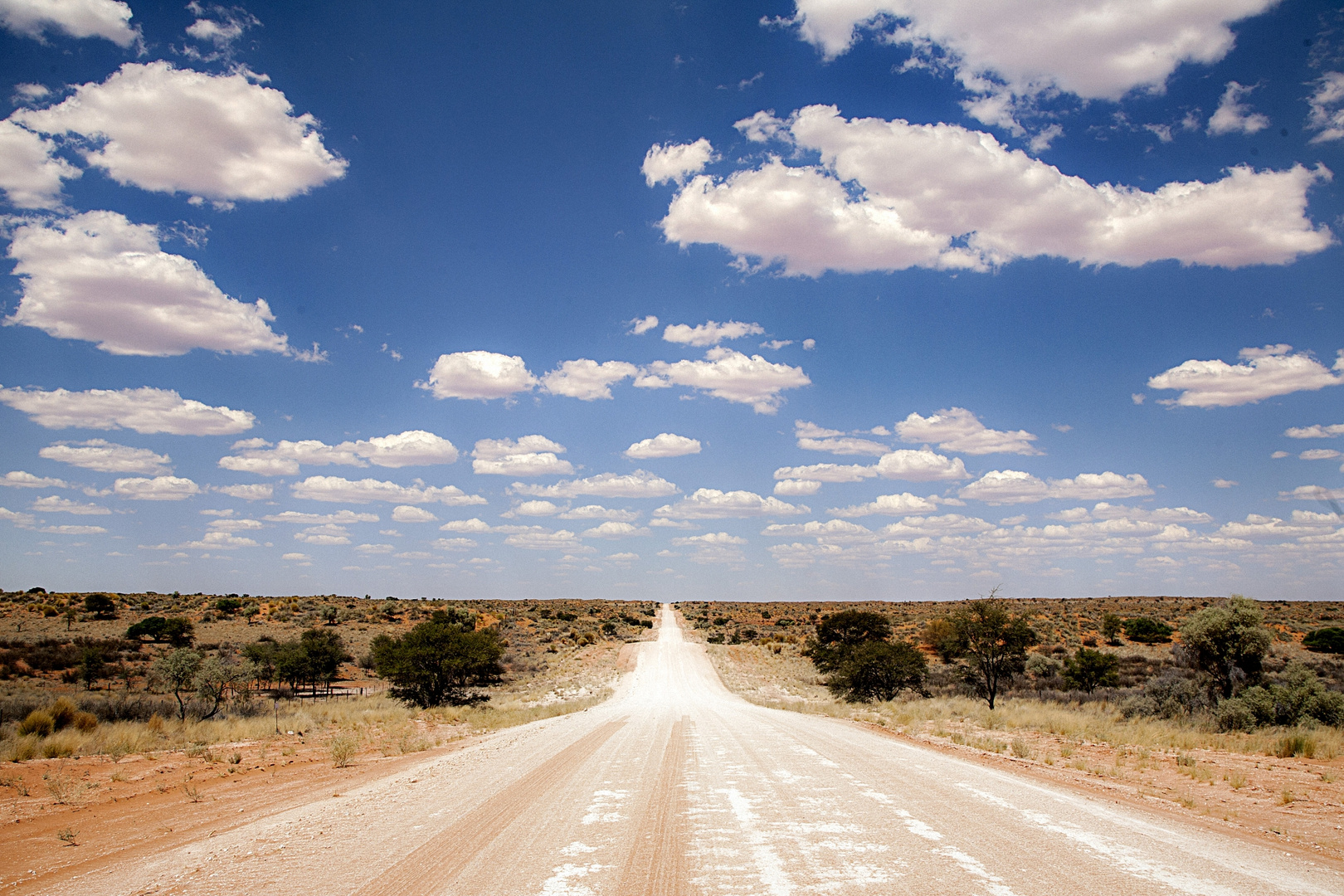 Namibia Kalahari