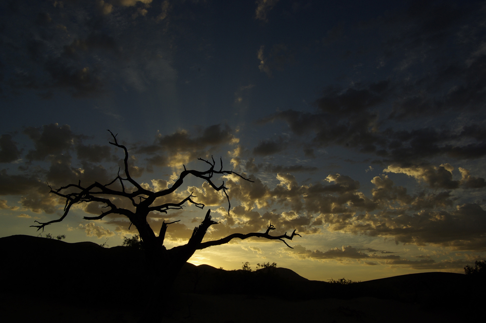 NAMIBIA Kaokoveld 1