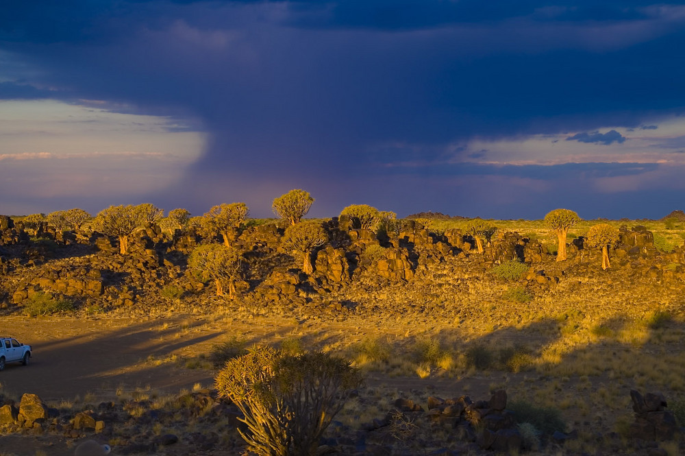 Namibia - Keetmanshoop; Köcherbaumwald, die Sonne im Rücken