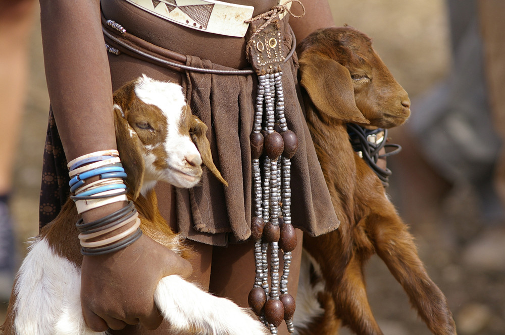 NAMIBIA Kuneneregion Himba 11