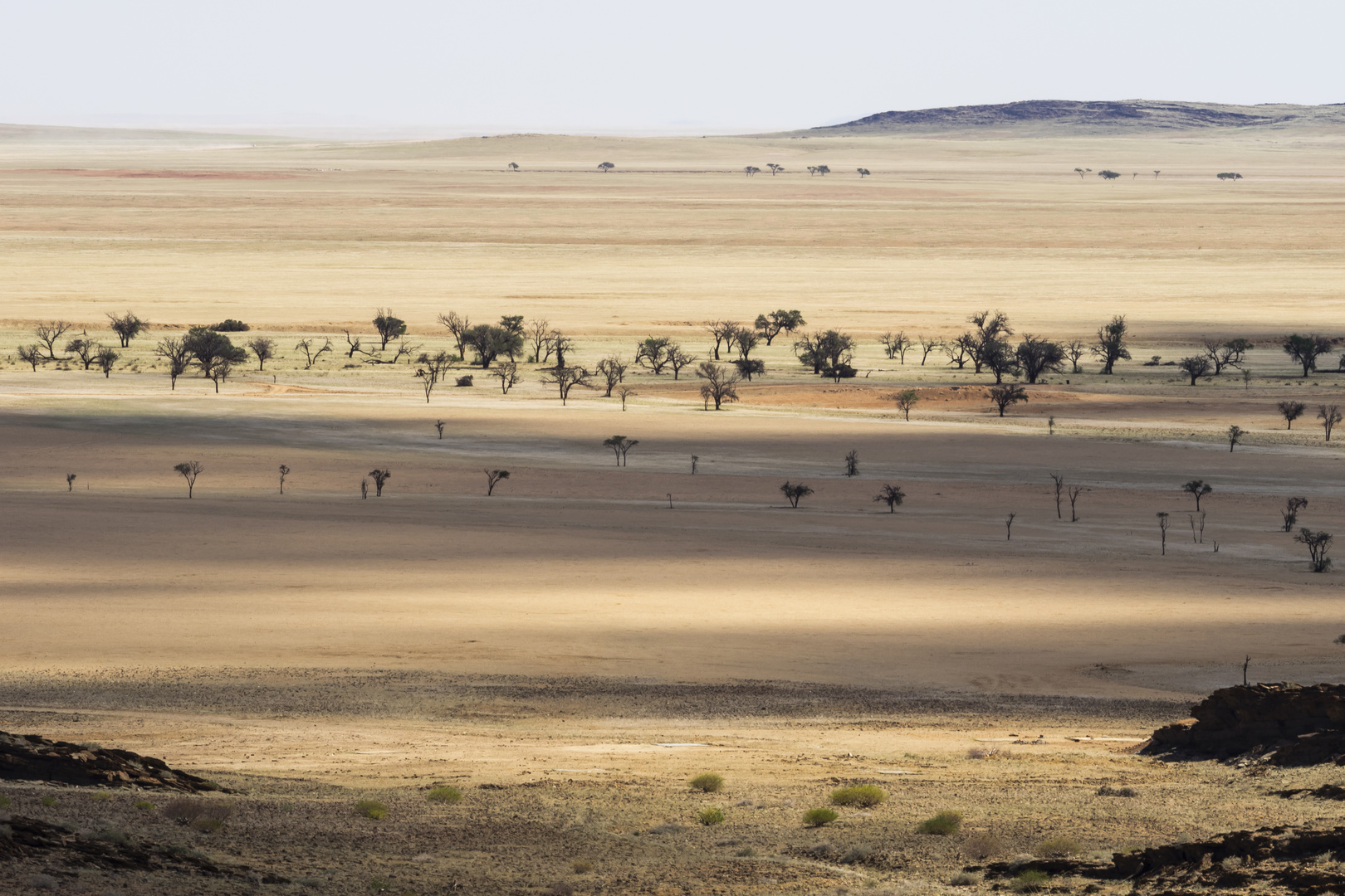 Namibia, Land der Akazien