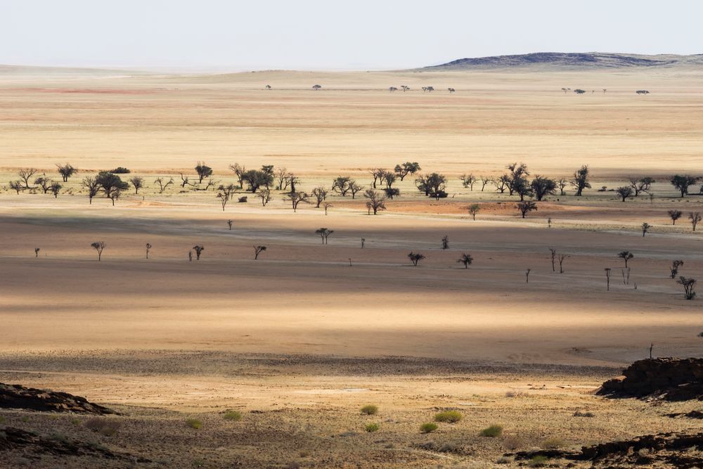 Namibia, Land der Akazien