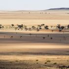 Namibia, Land der Akazien