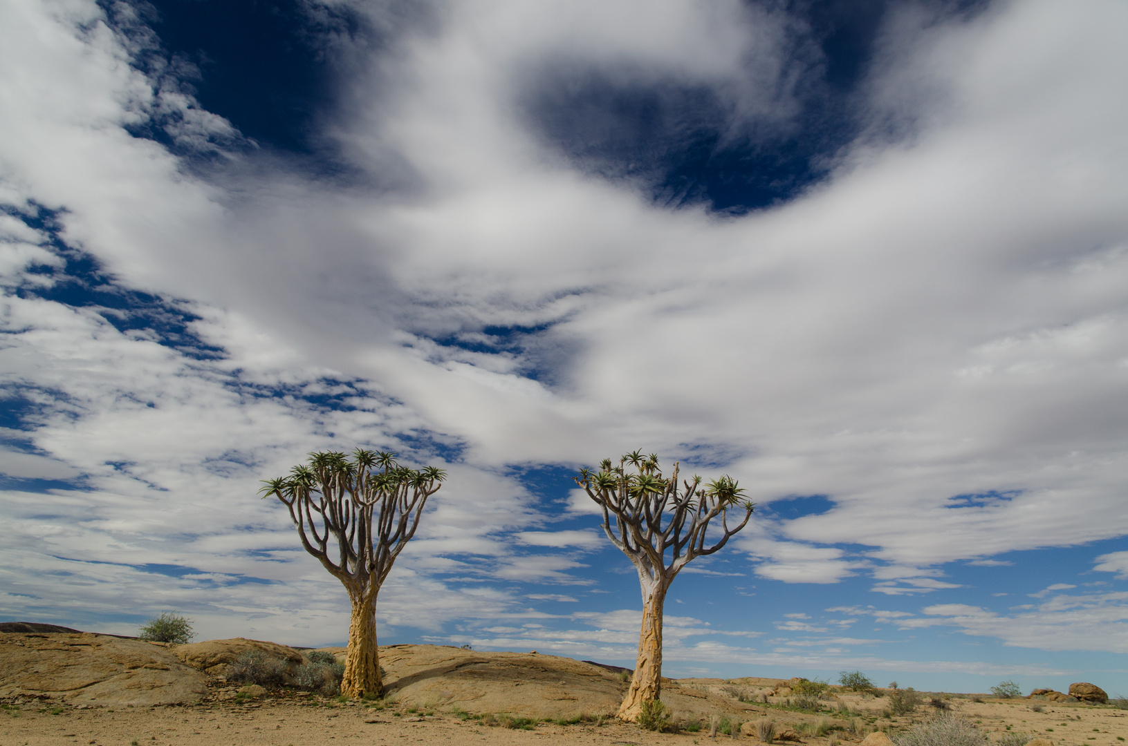 Namibia - Land der Kontraste