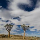 Namibia - Land der Kontraste