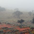 Namibia-Landschaft im Nebel