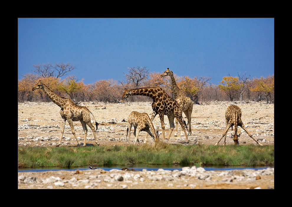 Namibia LV - Familientreffen